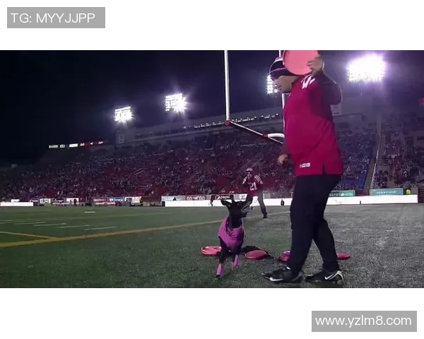 武汉飞盘队区域防守战术解析与实战应用探讨 武汉飞盘队区域防守战术解析与实战应用探讨